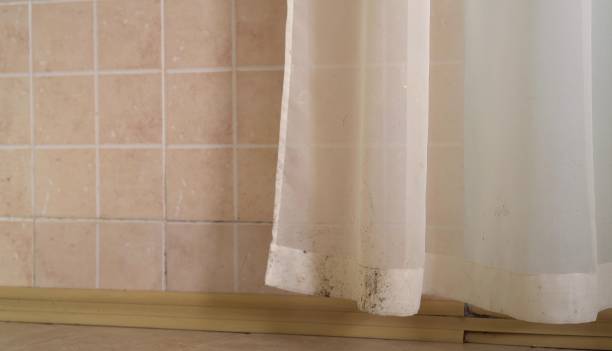 Best Mold Remediation for Healthcare Facilities  in Hillsborough, NJ