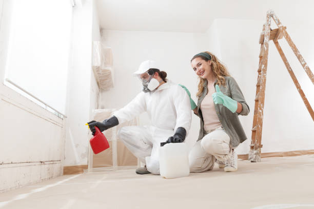 Best Environmental Consulting for Mold Prevention  in Hillsborough, NJ